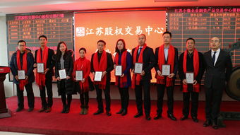 房產(chǎn)中介服務(wù)機構(gòu)江蘇正易成功登陸新四板