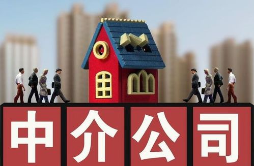 全國(guó)首創(chuàng)全面取消房產(chǎn)中介服務(wù),你怎么看