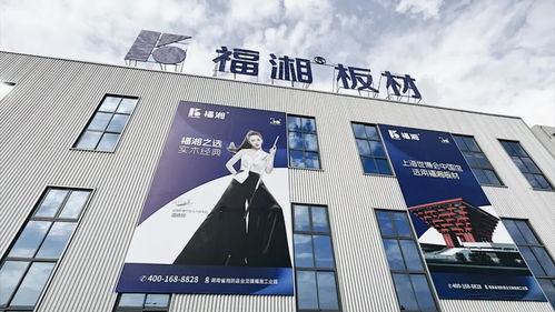 創(chuàng)新齊聚力 同心向未來丨福湘北方 臨沂 客戶服務(wù)中心成立暨新產(chǎn)品發(fā)布會(huì)圓滿成功